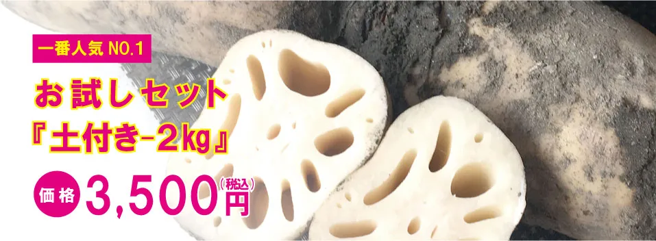 リンク画像