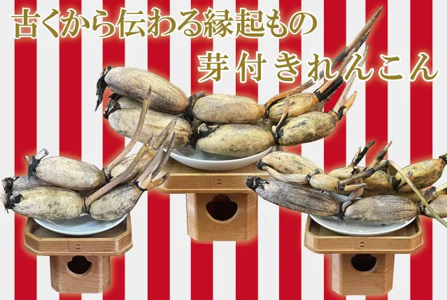 リンク画像