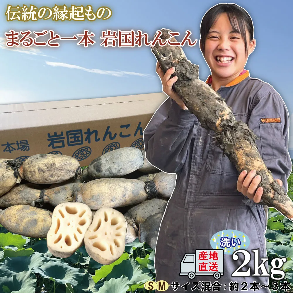 リンク画像
