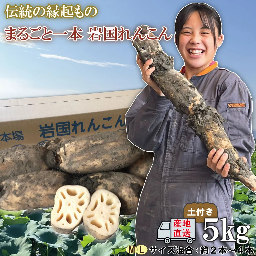 リンク画像