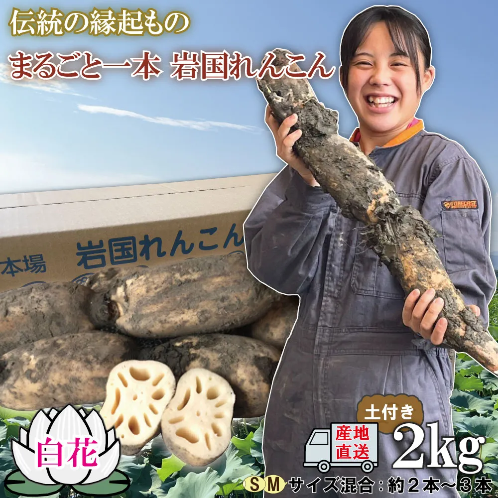 リンク画像