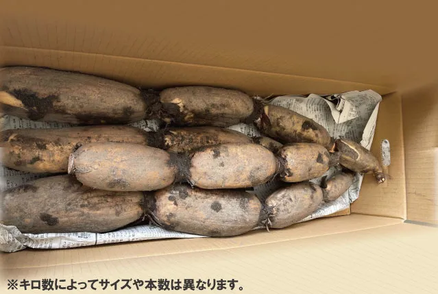 リンク画像