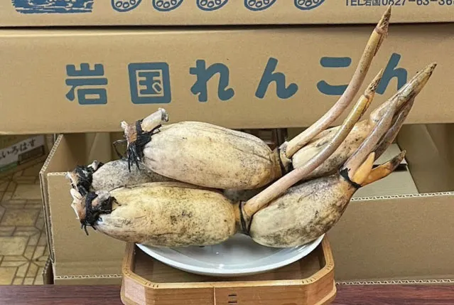 リンク画像