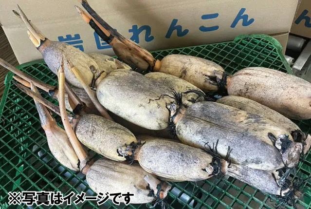 リンク画像